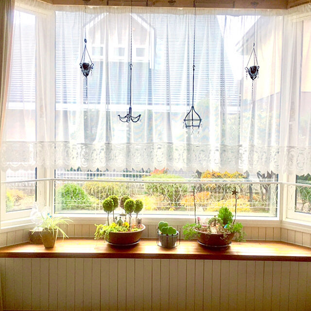 My Shelf,出窓,北海道,すのこDIY,築30年超,箱庭風,いいね&フォローありがとうございます♡,基本はシンプル派⁈,大人インテリアは憧れ♡,ダイソー ガーデンフェンス,アイアンライト風オブジェ norinori0605の部屋