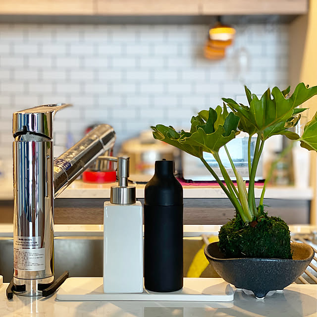 カフェ風,エコカラット,ホテルライク,マリンテイスト,観葉植物,Kitchen Junの部屋
