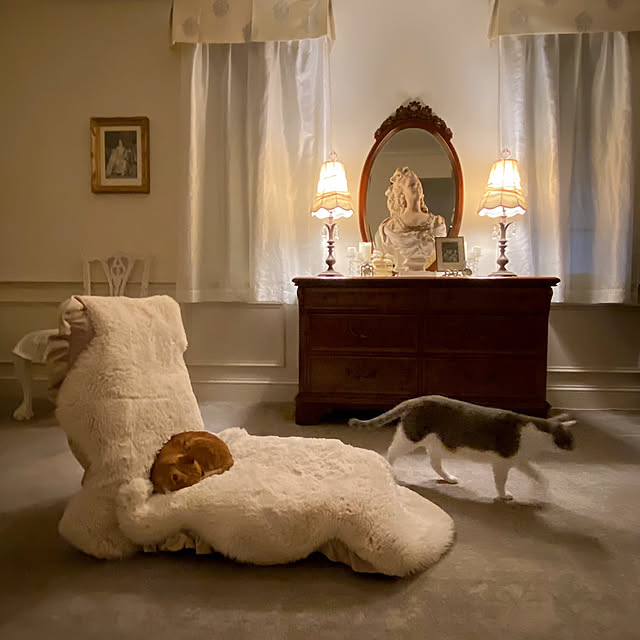Lounge,持たない暮らし,ねこのいる日常,ねこと暮らす neneの部屋