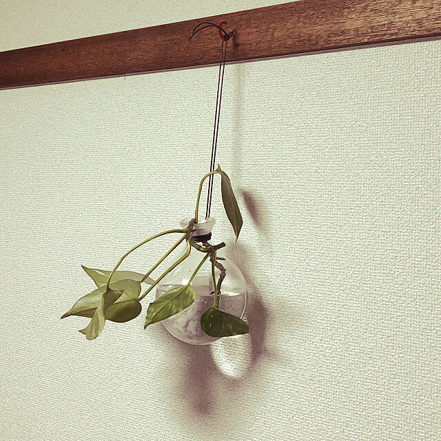 ハンギングプランター,DIY,観葉植物,On Walls mijomijoの部屋