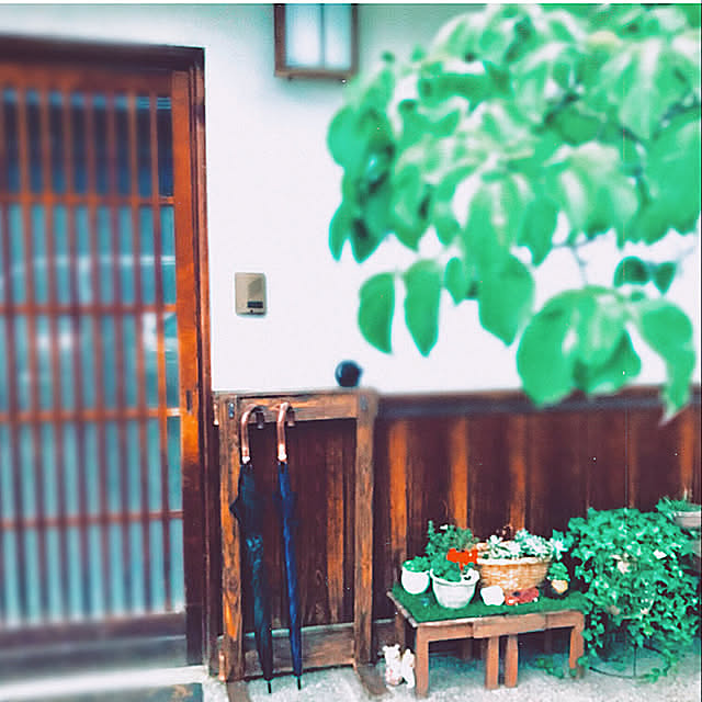 家族みんなが使いやすく,使いやすく,玄関引き戸,和風な玄関,傘立てDIY,傘立て,DIY,多肉植物,多肉コーナー,和風の家,Entrance maroの部屋