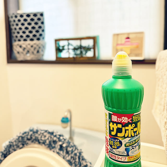 Bathroom,トイレ,KINCHO,トイレ掃除,サンポール,清潔を保つ Pochitaroの部屋