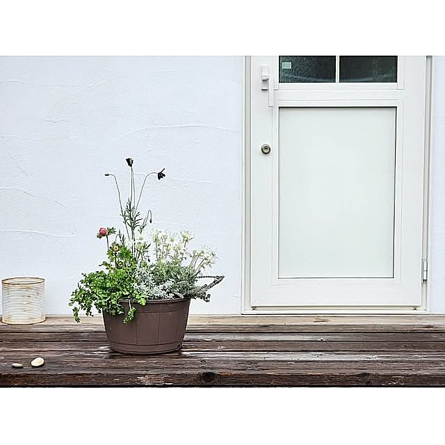 花のある暮らし,花,植物,グリーン,勝手口,寄せ植え,リクシル,NO GREEN NO LIFE,グリーンのある暮らし,暮らしを楽しむ,日々の暮らし,Entrance,ガーデニング,春 chiii13の部屋