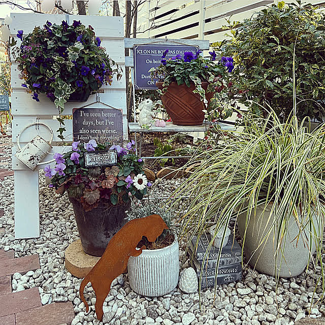 Overview,ネコ,スリットバスケット,プラントハンガー作りました,DIY,わたしの休日のすごし方,庭,ガーデニング,寄せ植え,ガーデン雑貨,冬,ビオラ,ご覧頂きありがとうございます♡,アリッサム寄せ植え felicityの部屋