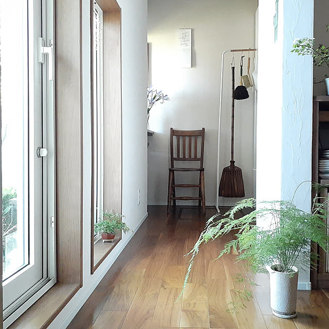 On Walls,掃除道具収納,珪藻土の壁,ふるいものが好き,パントリーの窓辺,2022.5.23,ダッチアイリス,しゅろ箒,山崎実業,スリムコートハンガー,アスパラガス,勝手口付近,しゅろほうき,ルームクリップショッピング hana-の部屋