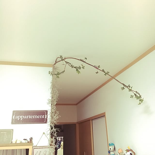On Walls,ウスネオイデス,ひろった枝,枝,木,インテリア,フェイクグリーン,いなざうるす屋さん,植物,手作り,ナチュラル,ハンドメイド,DIY,いなざうるす屋,フェイク,グリーン,雑貨,ダイソー,Daiso yuuの部屋