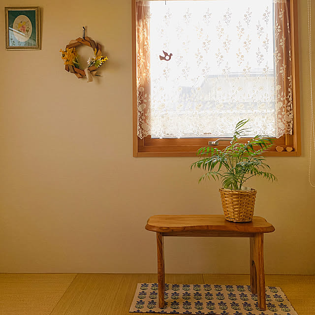 Overview,テーブルヤシのお花,テーブルヤシ,観葉植物,窓辺のインテリア,ナチュラルカラー,北欧,癒し,北欧インテリア,窓辺 lalalaの部屋