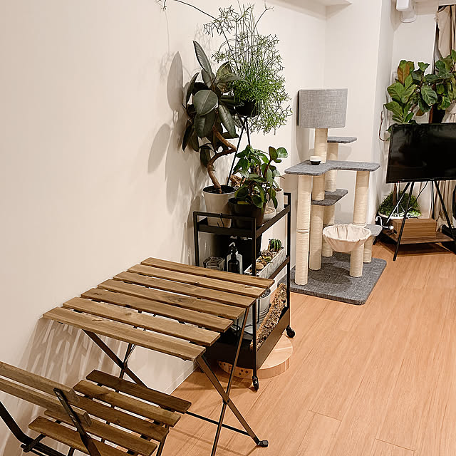 ケーブルボックス,テレビスタンド,キャットタワー,猫,グレーインテリア,猫のいる暮らし,観葉植物,モノトーン雑貨,IKEA,一人暮らし,白黒マニア,1K,植物棚,ブラックアイアン,モノトーンインテリア,アウトドア家具,ワゴン,Lounge Kurehaの部屋