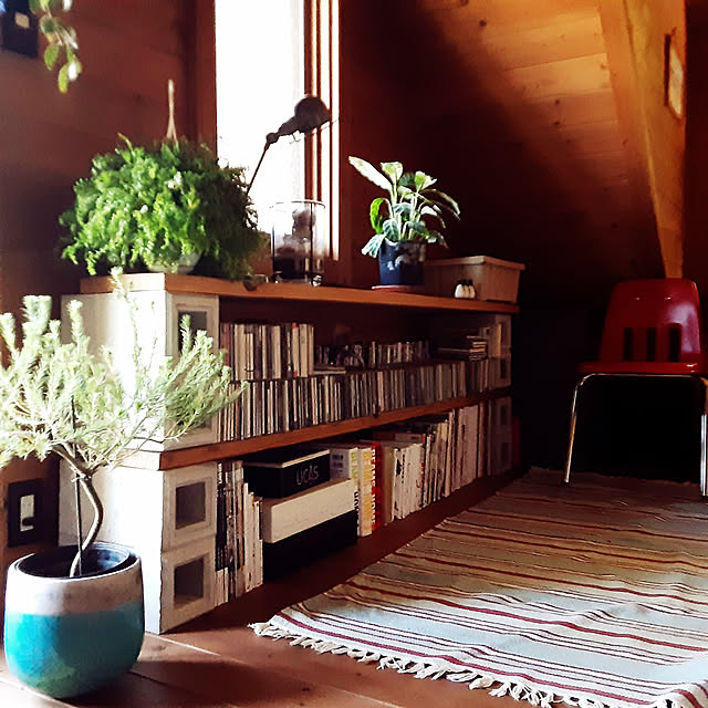 My Shelf,西海岸,夏,bess,植物のある暮らし,DIY,ログハウス,ベスの家,吊るし隊,BESSの家,カリフォルニアスタイル,カフェ風,プラントハンガー,おうちカフェ,本棚DIY,基礎石,足場板,収納スペース,バンクシア,オブジェ,模様替え,本棚,ロフト,コンクリートブロック grapefruitmoonriderの部屋
