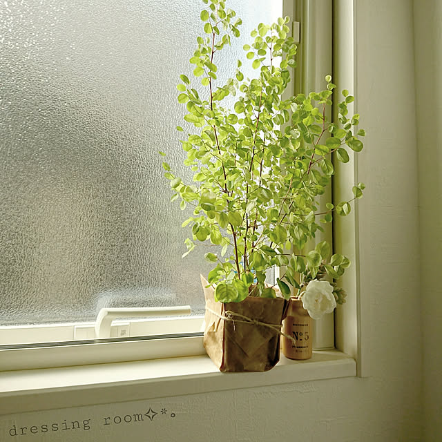 Bathroom,おきにいり♡,いい眺め,ワックスペーパー,ナチュラルスタイル,フェイクフラワー,ヨウシュコバンノキ,2017/11/2 4-mamaの部屋