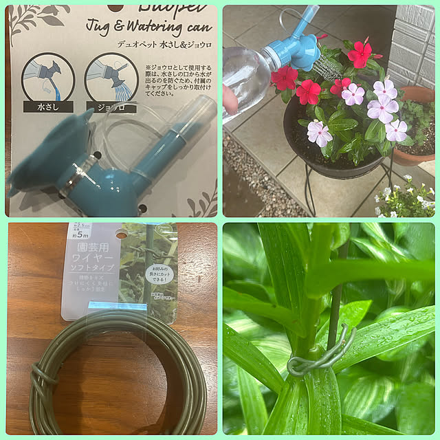 Entrance,バルくん粘着シート,蚊取り線香携帯用,園芸用ワイヤー,デュオペット,セリア,プチプラインテリア,2枚投稿です♡ banbinaの部屋