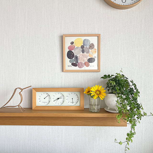 ひまわり,バーズワーズ,シュガーバイン,観葉植物のある暮らし,My Desk amの部屋