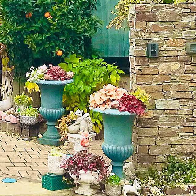 小さな花壇,初雪かずら紅葉してます,コッツウォルズ風の門柱,コッツウォルズ風,スーパーアリッサム フロスティーナイト,ヒューケラが好きすぎる,みかん　地植え,温州みかん,健康,アヒル、居ます,ひよこも居た…,癒し,小さな分譲地,忙しくても花を愛でたい,Entrance,オンリーワン　キャッスルウォール tinkunの部屋