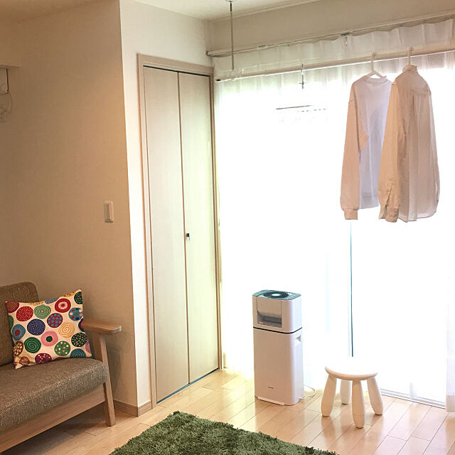 衣類乾燥除湿機,アイリスオーヤマ,除湿機,Lounge hayunoの部屋