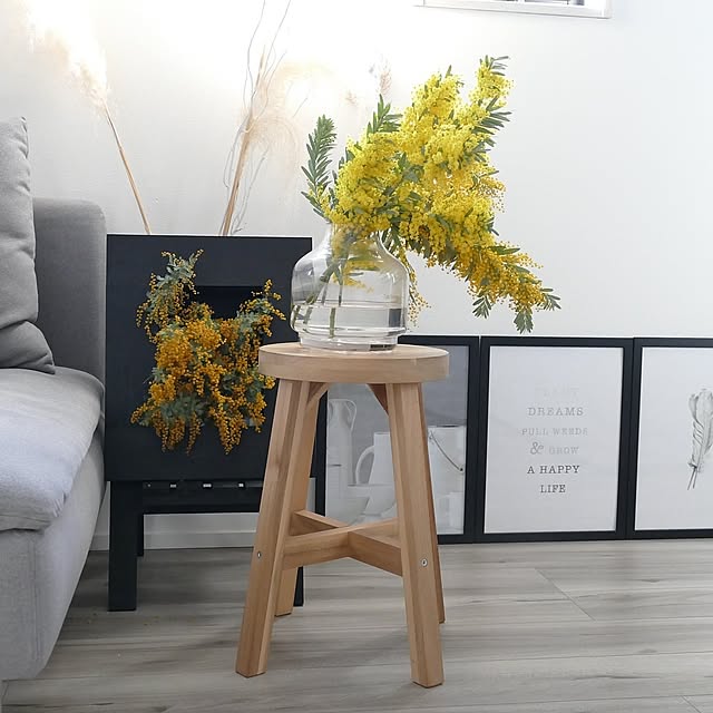 Lounge,花のある暮らし,ミモザ,春,IKEA,スタンダードプロダクツ,スタプロ,スツール ya_maの部屋