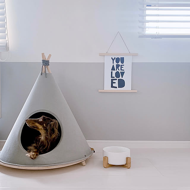 ダックスフンド,カニンヘンダックス,ティピーテント,ペットと暮らすインテリア,シンプル,DIY,モノトーン,ホワイトインテリア,北欧インテリア,シンプルインテリア,モノトーンインテリア,ig⇨mayumimi.24,犬のいる暮らし,犬と暮らす,Lounge mimi24の部屋