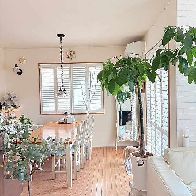 Lounge,新生活,リビング,ホワイトインテリア,ナチュラルインテリア,建具,住友林業,木枠の窓,白×木が好き,ウッドシャッター,大きな観葉植物,フェイクグリーン,グリーンのある暮らし chobisukeの部屋