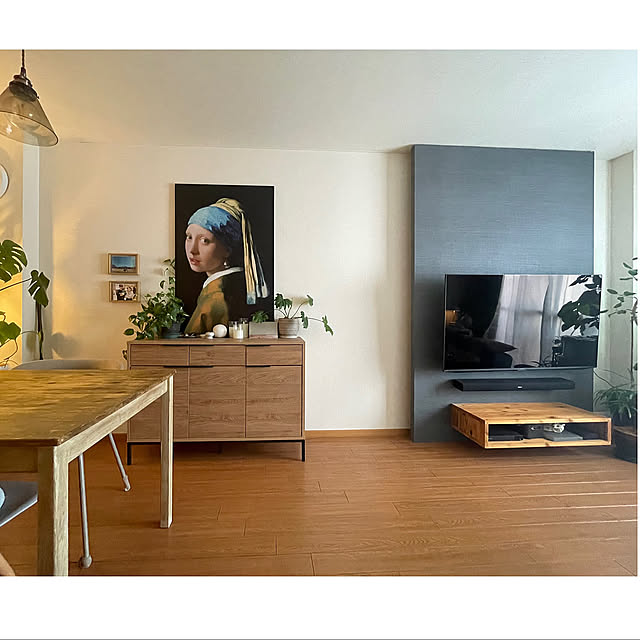 Overview,ディアウォールの壁,賃貸インテリア,IKEA,DIY,賃貸,2LDK,2人暮らし,賃貸でも諦めない！,グリーンのある暮らし,セカンドライフ,『RCカントリー倶楽部☆』,バックボード akoの部屋