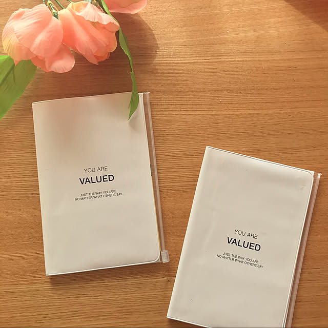 カードケース,保険証収納,保険証ケース,cando,cando_mariコラボ,100均,My Desk shokoの部屋