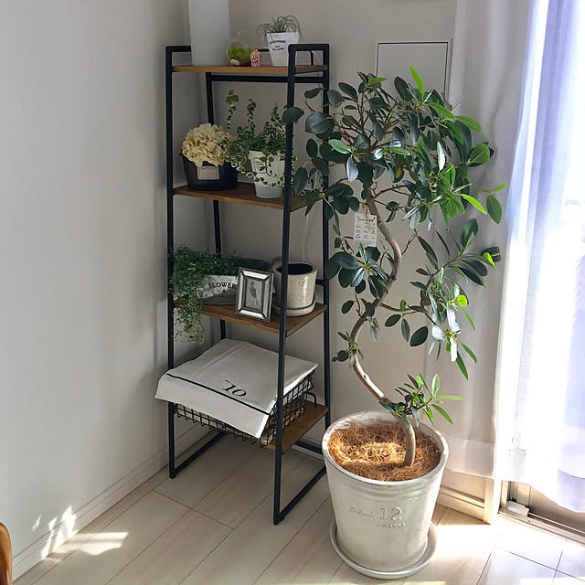 Lounge,Studio Clip,観葉植物のある部屋,アイアン家具,IKEA,ZARA HOME,いざなうるす屋,植木鉢,フィカスプミラ,キャンドル Rio333の部屋