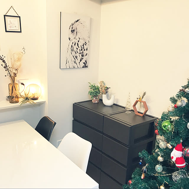 RoomClip運営チームの皆様に感謝♡,衣装ケース,収納ケース,デコニーシーヴォ,DECONY CEVO,ウェルカムクーポン,RoomClipショッピング,ドライフラワー,フランフラン,ダイソー,セリア,3COINS,北欧,My Shelf youの部屋