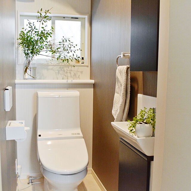 緑や小物使いがポイント 居心地のよいトイレの作り方 Roomclip Mag 暮らしとインテリアのwebマガジン