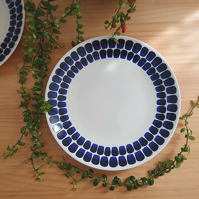 お気に入りの器,エスキナンサス,観葉植物のある暮らし,ARABIA,トゥオキオ,プレート,ワンプレート,イベント参加,エスキナンサスの蕾 Mi-koの部屋