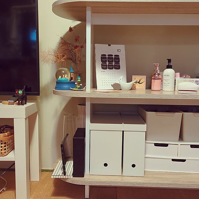 My Shelf,ドライヤー収納,二人暮らし,団地,団地部,団地生活,団地リビング,団地暮らし,団地インテリア kayoの部屋