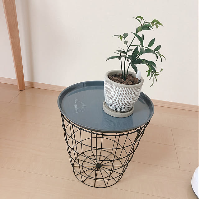 Lounge,100均,DIY,ナチュラル,観葉植物,ダイソー,カフェ風 kyon__6の部屋