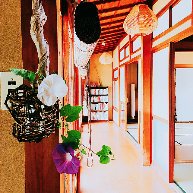 Overview,本棚,すだれロールカーテン,和の暮らし,縁側,日本家屋,古い家,朝顔,花を飾る,かご好き,暮らしを楽しむ,窓際 Natsumiの部屋