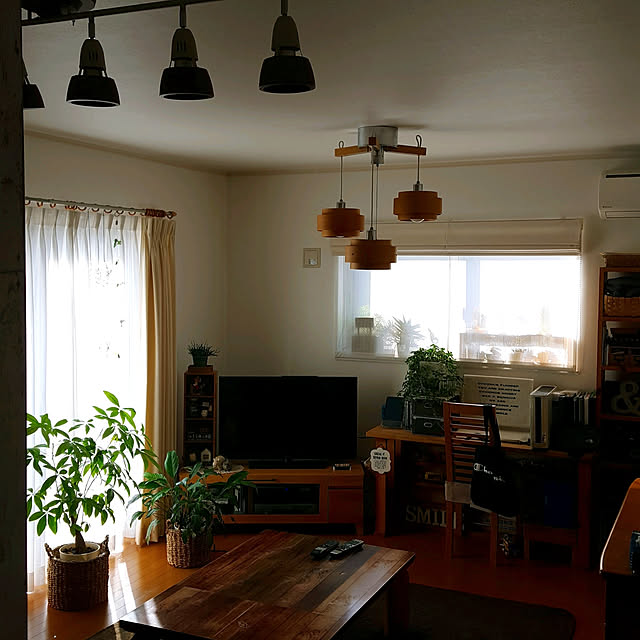 Lounge,観葉植物 masarinn.の部屋