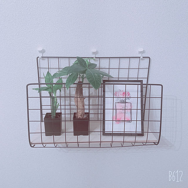 飾り方は自由♡,全部100均,フォトフレーム,観葉植物,ワイヤーネットDIY,壁面棚DIY,寝室の壁,10分でできる,賃貸インテリア,2LDK賃貸,雑貨,On Walls Eriの部屋