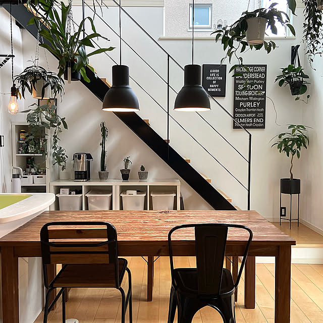 アイアン階段,イケア 照明,ヘクタル,IKEA 照明,ブラックインテリア,観葉植物のある暮らし,植物のある暮らし,DIY,グリーンのある暮らし,グリーンのある生活,リビングインテリア,ハンギンググリーン,Lounge kobami_styleの部屋