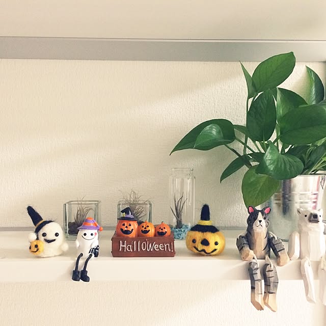 My Shelf,季節感,ダイソー,羊毛フェルト,100均,飾り棚,二人暮らし,ハロウィン,1LDK,癒しの空間,Daiso paseの部屋