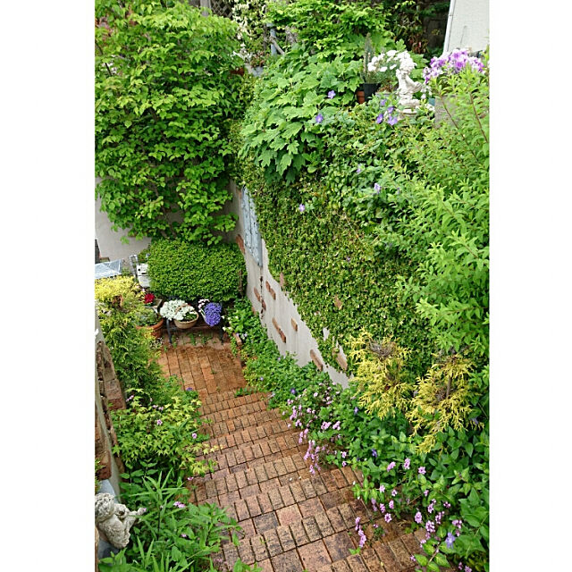 Entrance,レンガ,花のある暮らし,庭のある暮らし,緑が好き,階段のある家,レンガの階段,入り口 kimiの部屋