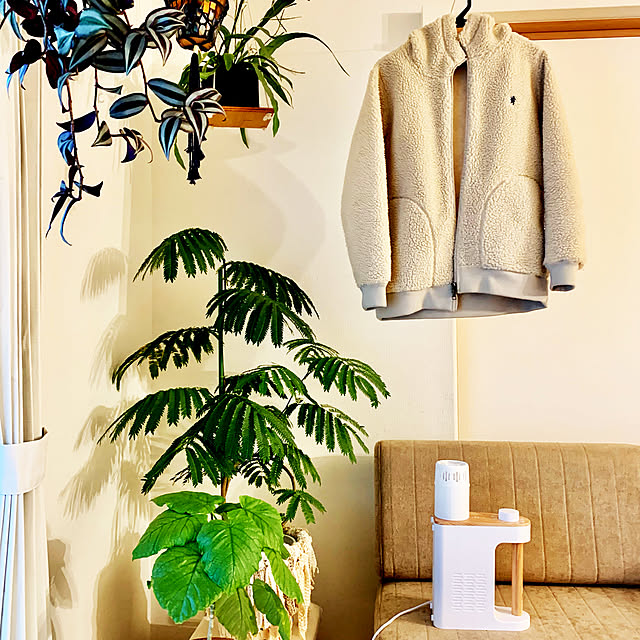 ソファ,BRUNOマルチふとんドライヤー,観葉植物,RoomClipショッピング,お家見直しキャンペーン,吊るし隊,北欧,癒し,冬支度,植物のある暮らし,DIY,プラントハンガー,ハンギンググリーン,Lounge HAKOの部屋
