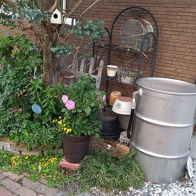 Entrance,節約,貯水タンクDIY,お花の水やり,貯水,フォロー&いいね ありがとうございます♡ civicglの部屋