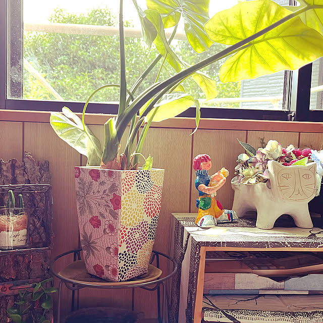 ダイソーsousouリメイクシート,セリアモリスリメイクシート,ダイソー鉢,クワズイモの植え替え,クワズイモ,My Shelf,紙粘土人形,ダイソー鉢リメイク jijiの部屋