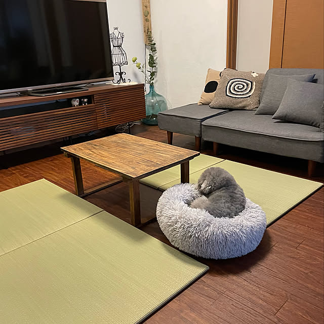 ぴのさん特等席,SDGs,irucicoシリーズ,みらい,ヒコラー,イケヒコ,いいね！ありがとうございます◡̈♥︎,コメントお気遣いなく,モニター応募投稿,古家具のある暮らし,置き畳,ぴのさん,カフェ風インテリア,わんこのいる暮らし,習字塾の机,古道具のある暮らし,Overview meguko.ryanの部屋