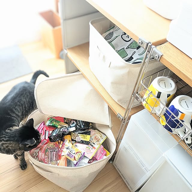 Kitchen,無印良品,マグカップ,キッチンカウンター,非常食,キッチンクロス,防災,ポイポイ収納,放り込み収納,ソフトボックス,ねこと暮らす,イベント参加中,あとでゆっくりお邪魔します♡,防災食,ズボラー,猫と暮らすインテリア,備蓄品収納,複数枚投稿,キジトラ♂ むっく,カゴ収納,ステンレスバスケット,ゴミ箱収納,100均アイテム,水杉かご,フェイクグリーン,2024.3.29,Daily RoomClip掲載 hihaの部屋