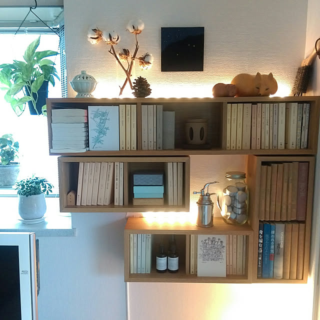 My Shelf,本棚,イベント参加中,すっきり暮らしたい,木が好き,ナチュラルインテリア,賃貸,転勤族,無印良品,無印良品 壁に付けられる家具,IKEA 照明,見せる収納,グリーンのある暮らし,リサラーソン,秋支度,コットンドライフラワー johnの部屋