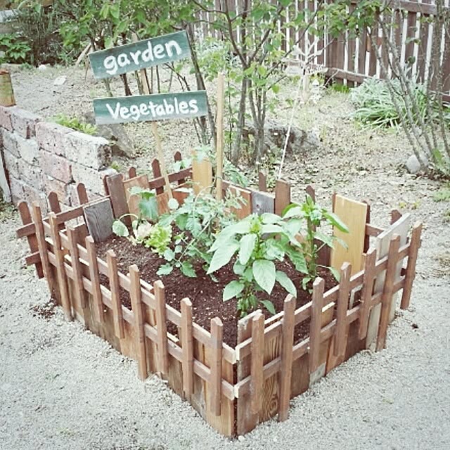 ベランダ・キッチン・お庭で憧れの自給自足生活♪「家庭菜園」実例