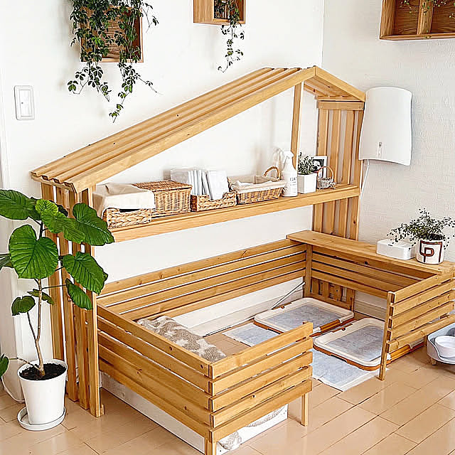Lounge,犬小屋DIY,わんこスペース,2024年,インテリア,DIY,カフェ風,インテリアグリーン,ナチュラルインテリア,北欧インテリア,DIY女子,インテリアコーディネート,ありがとうございます♡,ナチュラルカラー,シンプルインテリア,グリーンのある暮らし,インテリア大好き,いいね、お返しができなくてごめんなさい。,観葉植物のある暮らし,リビングインテリア,インテリアを楽しむ,DIYのある暮らし,イベント参加,いぬと暮らす yumimaruの部屋