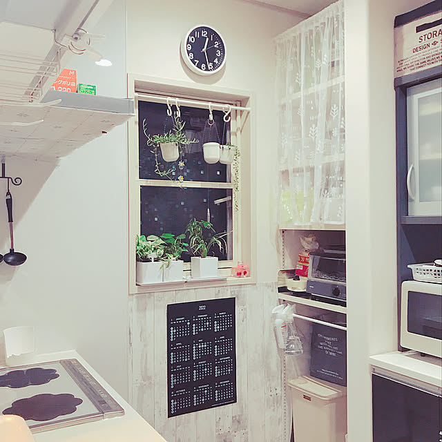 つっぱり棒,平屋暮らし,RCの出会いに感謝♡,みどりのある暮らし,白い花が好き,良いね⑅◡̈*ありがとうございます♡,Kitchen rerunの部屋