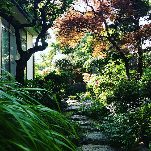 Entrance,庭木,我が家の庭,和風の庭,和風の玄関,築37年に入りました！,山善高枝モニター応募 nikkoriの部屋