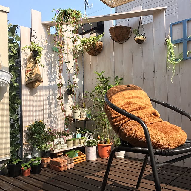 Entrance,住宅密集地,カピバラさんのある暮らし,植物,植物のある暮らし,中古住宅,ベランダガーデン,ウッドデッキ,観葉植物 makoriの部屋