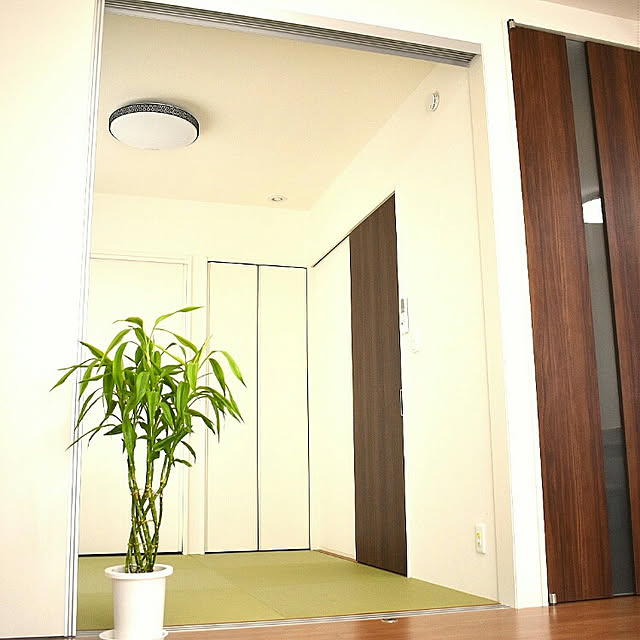 Bedroom,家づくり,観葉植物,ホワイトナチュラル,ナチュラル kakurenboの部屋