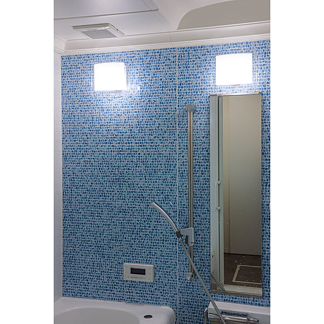 モニター企画参加,プレミアX,パルックLED,パナソニック,LED電球,Bathroom,取り付け後写真 5mayの部屋