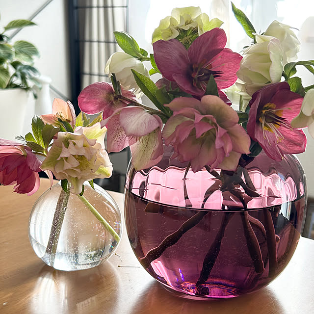 Lounge,みずのうつわ,庭のお花,クリスマスローズ,花のある暮らし,ガラス,花瓶,ホルムガード,フラワーベース,ホルムガード　プリムラ,ガラスが好き♡ koereeの部屋