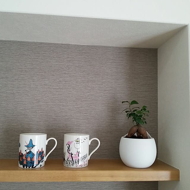 My Shelf,観葉植物,無印良品 nyanの部屋